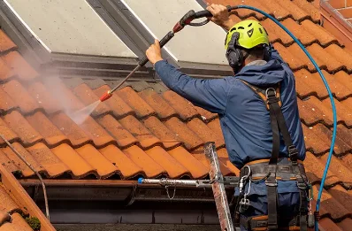 Démoussage et hydrofuge de toiture à Vésines